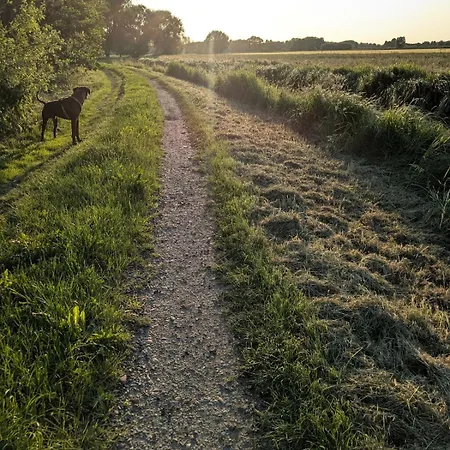 Semesterbostad Deichliebe Oekologisch *