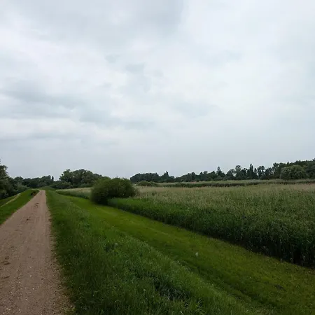 Deichliebe 290 Oekologisches Stoeckte Winsen (Luhe)