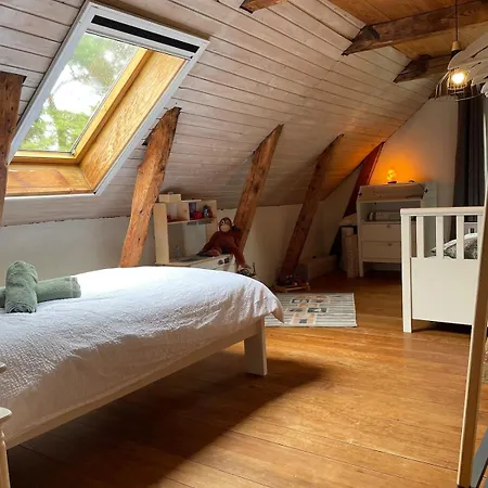 Deichliebe Oekologisch Winsen (Luhe)