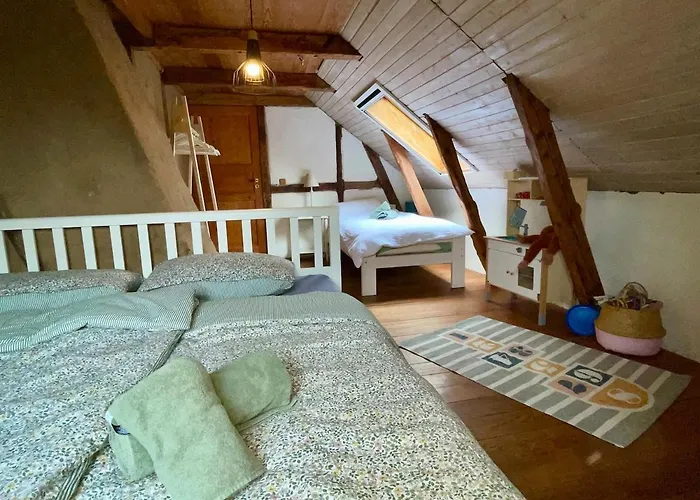 Deichliebe Oekologisch *