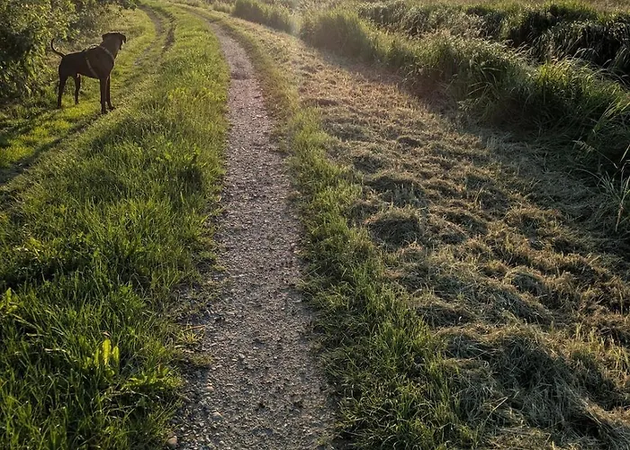 度假居 Deichliebe Oekologisch *