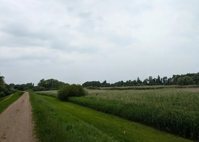 Deichliebe Oekologisch 温森