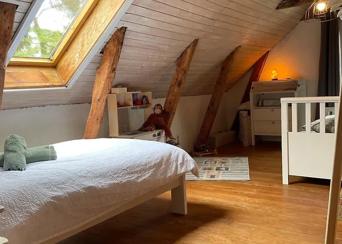 Deichliebe Oekologisch 温森